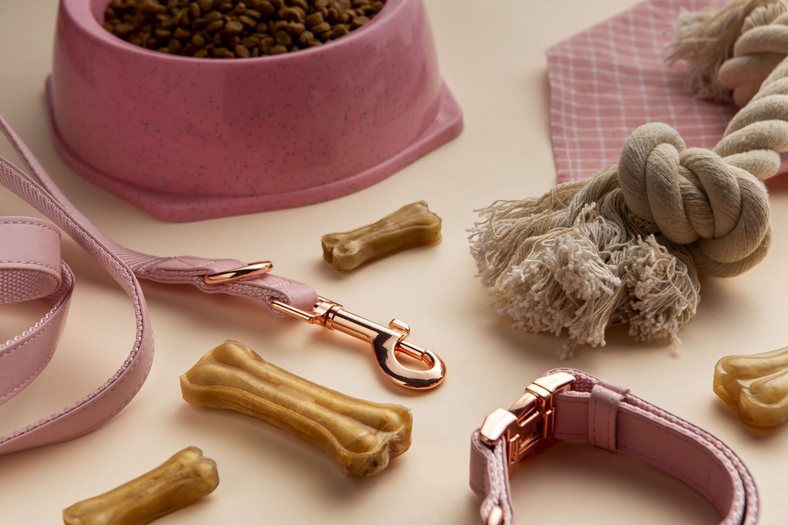 Pink dog accessories including food bowl with kibble, leash, collar, rope toy, bone-shaped treats, and checkered cloth arranged on a light background